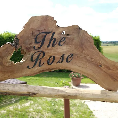 The Rose *